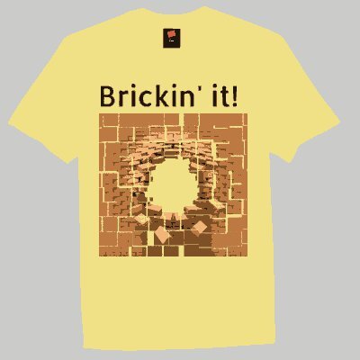 Brickin it